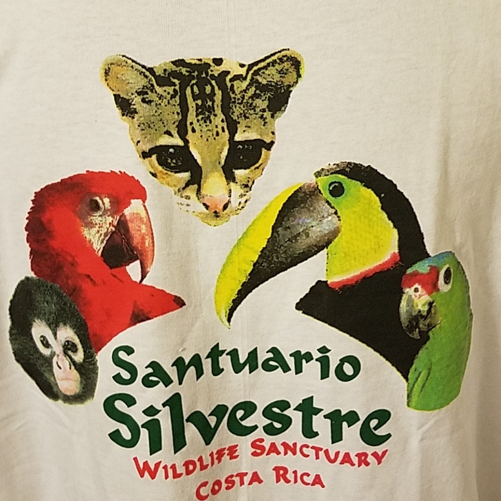 Sz xl wild life sanctuary  print decal parrot ape